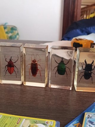 7 Insectos en Resina