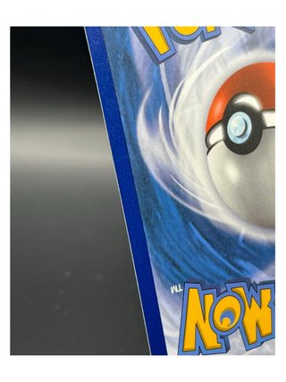 Pokemon Card: Garbodor VMAX (EVS 101) Evoluzioni E