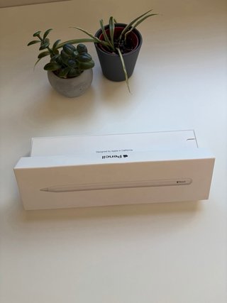 Apple Pencil 2ª Generación