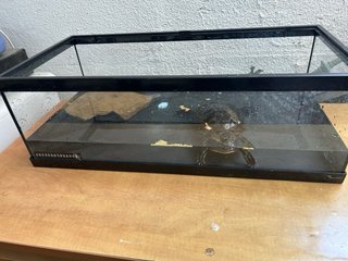 Terrario para tortugas
