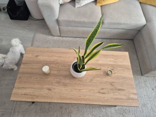 Mesa de centro industrial / nórdico (Como nueva)