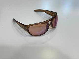 Gafas de sol Carrera Marrón y Rosa