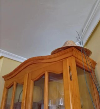Vitrina de salón de madera y cristal