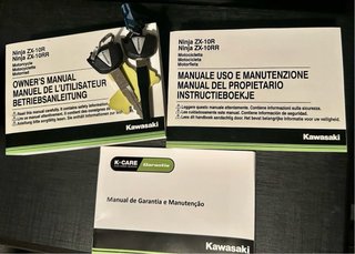 Kawasaki ZX10R KRT 2019