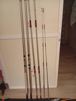 Cañas Daiwa Emblem Surf.tubulares
