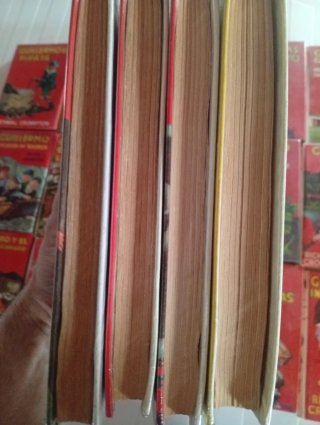 Guillermo Editorial Molino 19 libros.
