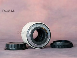 Canon Extender EF 2x II