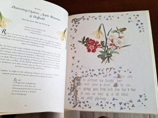 The Country Flowers of a Victorian Lady