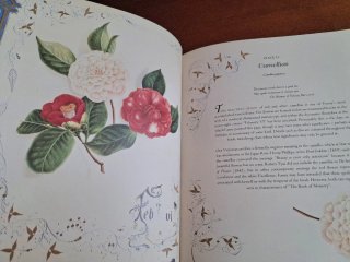 The Country Flowers of a Victorian Lady