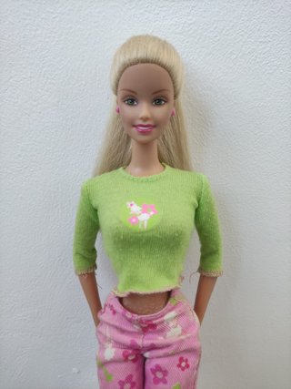Barbie y sus animalitos mimosos