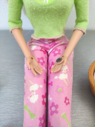Barbie y sus animalitos mimosos