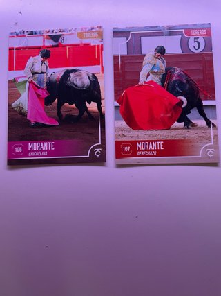 Taurocromos Morante 105 y 107