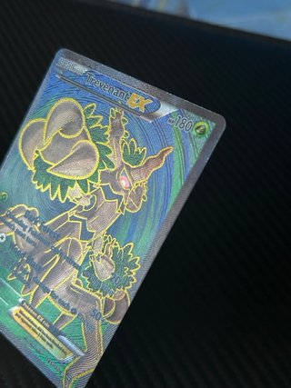 Carta Pokémon Trevenant EX 145/160