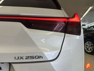 Lexus UX 2.0 250h Business