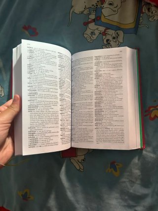 Diccionario español latin