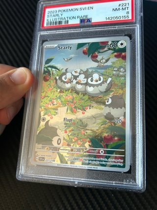 Carta Pokémon Starly Illustrazione Rara PSA 8