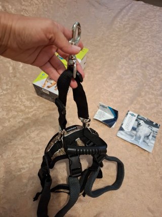 Guinzaglio per cani con problemi zampe posteriori