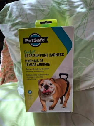Guinzaglio per cani con problemi zampe posteriori