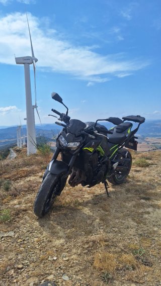 Kawasaki Z900 Negra y Verde