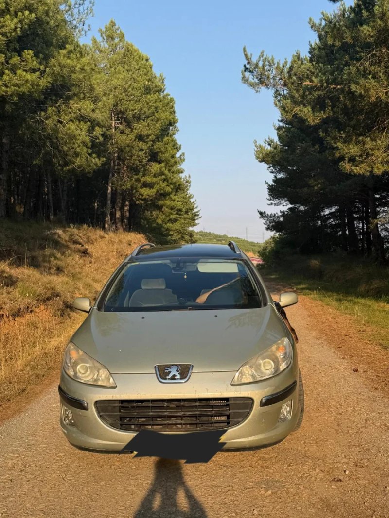 Peugeot 407 2005 - foto 1