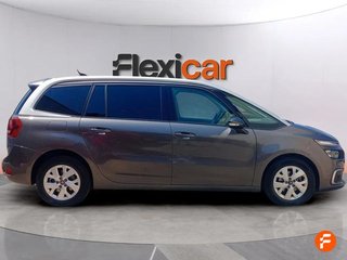 Citroën C4 Spacetourer Grand C4 Spacetourer 7P (2019)