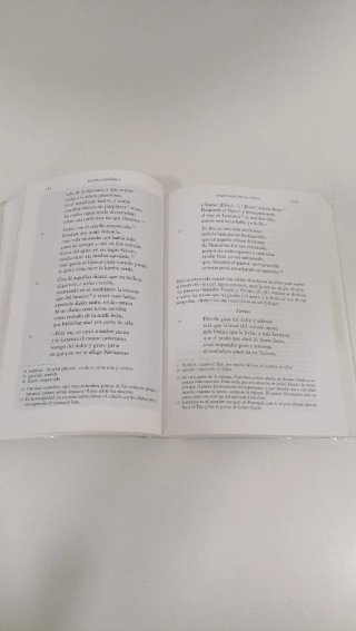 Poesía española