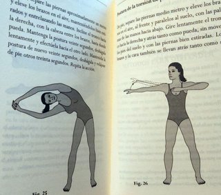 LIBRO APRENDER A RELAJARSE EN CASA, RAMIRO CALLE