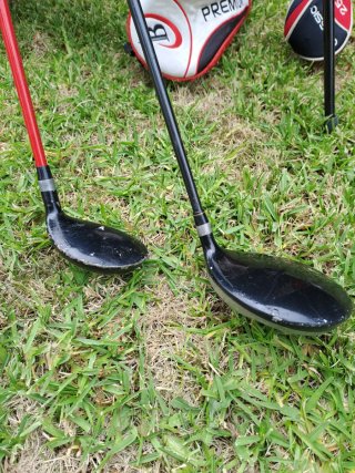 Set Palos Golf Boston niños talla 2
