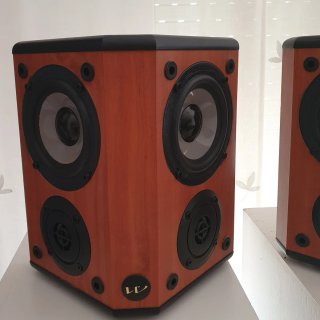 Altavoces Wharfedale WH-2 Surround