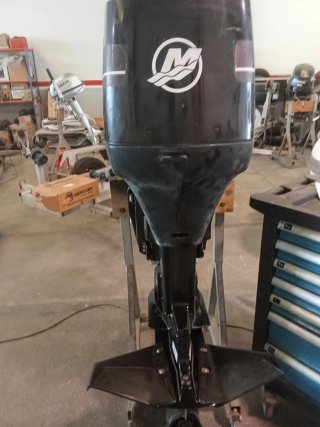 Motor fueraborda Mercury 75 CV 2T
