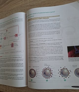 Biología y Geología 3º ESO