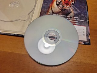Tigre delle Paludi - DVD Documentario