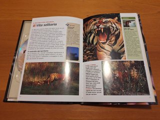 Tigre delle Paludi - DVD Documentario