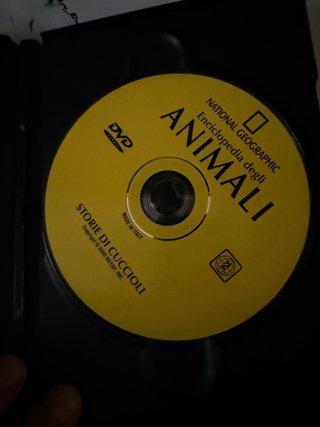 DVD Enciclopedia degli Animali