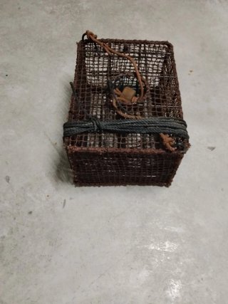 Cesta  Nasa, caja para marisco