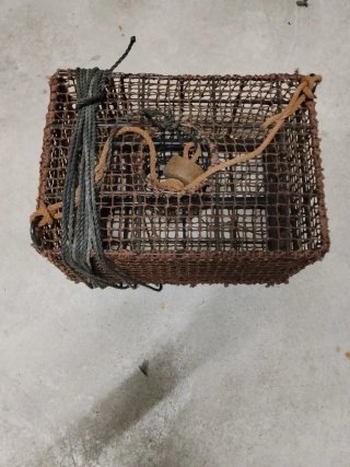 Cesta  Nasa, caja para marisco