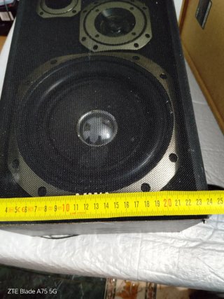 Altavoces Aiwa SX-33.