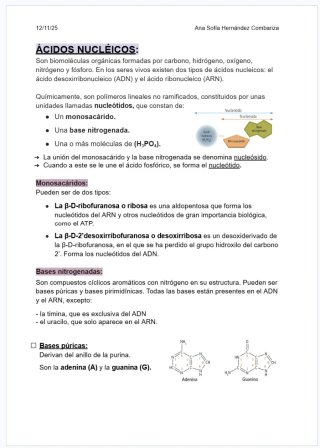 APUNTES COMPLETOS BIOLOGÍA SEGUNDO DE BACHILLERATO