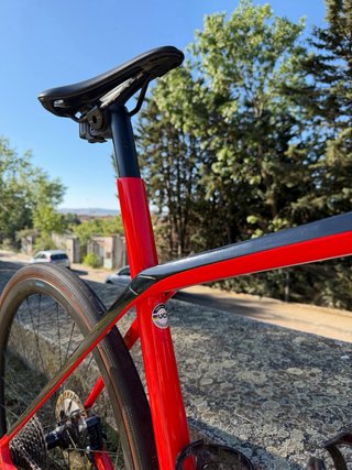 Trek Domane SL6 Roja