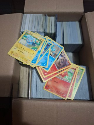Lotto carte Pokemon