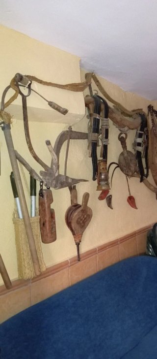 Antigüedades: Herramientas y Brida