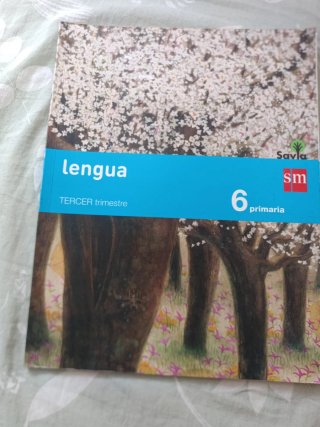 Lengua 6 Primaria, todos los trimestres