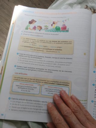 Lengua 6 Primaria, todos los trimestres