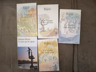 Lote de libros en francés
