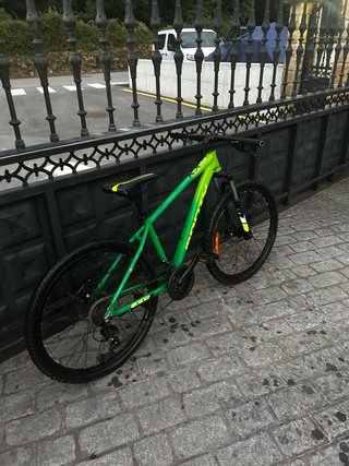 Bicicleta Monty verde