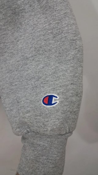 Chaqueta Vintage Champion River Hawks Gris