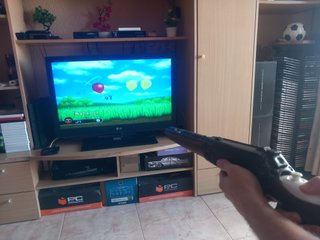 Wii Play + Rifle Wii
