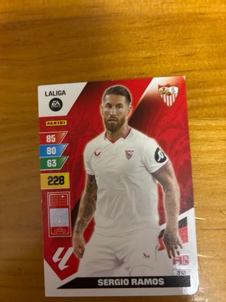 Colección Cartas Fútbol Panini