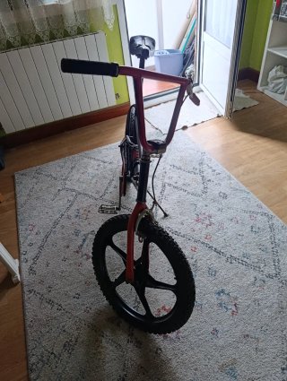 Bicicleta BH california