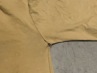 Camiseta Lacoste bordada beige